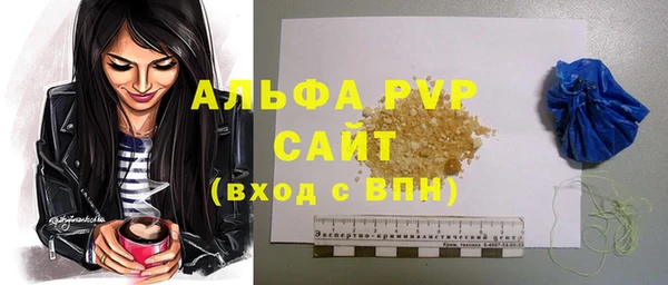 дмт Белокуриха