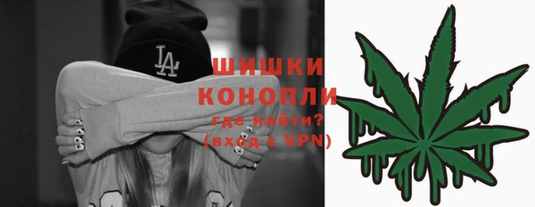 дмт Белокуриха