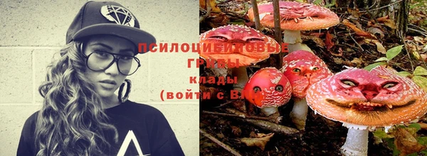 дмт Белокуриха