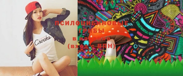 дмт Белокуриха