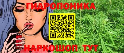 стаф Балаково