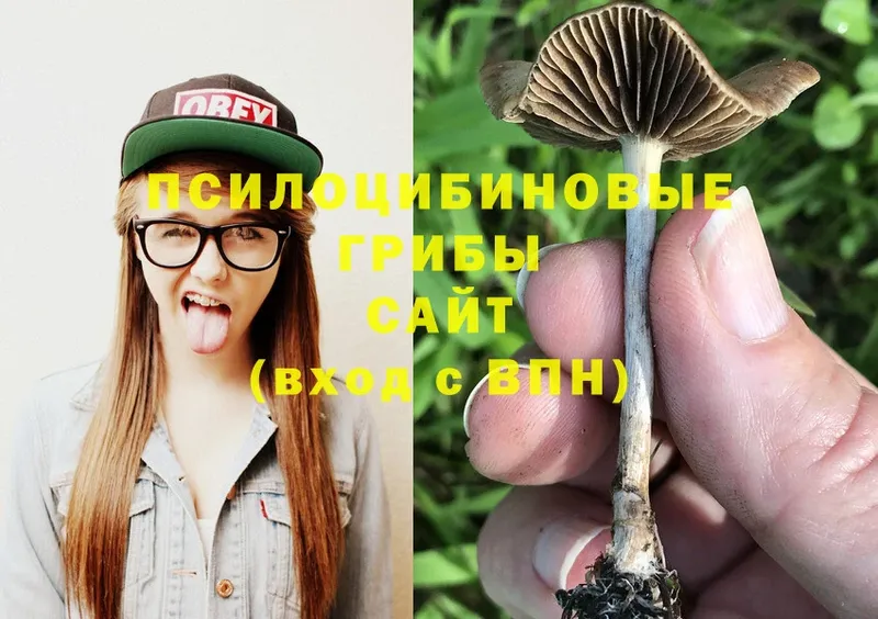 дарнет шоп  omg ссылки  Псилоцибиновые грибы Magic Shrooms  Бугульма 