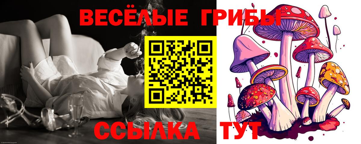 Бугульма  Галлюциногенные грибы Psilocybine cubensis  Вход с VPN 